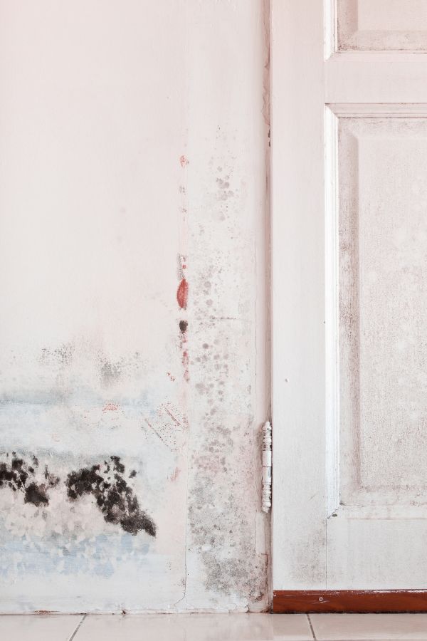 Anti-Schimmel-Team - Nordrhein-Westfalen - Schimmelentfernung - Schimmelsanierung - Schimmelanalyse - Bautrocknung