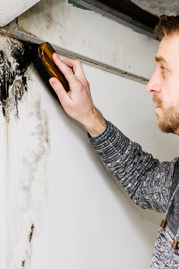 Anti-Schimmel-Team - Nordrhein-Westfalen - Schimmelentfernung - Schimmelsanierung - Schimmelanalyse - Bautrocknung