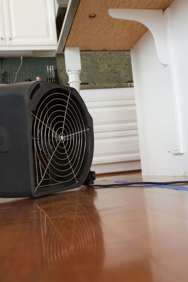 Anti-Schimmel-Team - Nordrhein-Westfalen - Schimmelentfernung - Schimmelsanierung - Schimmelanalyse - Bautrocknung