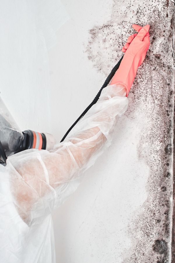 Anti-Schimmel-Team - Nordrhein-Westfalen - Schimmelentfernung - Schimmelsanierung - Schimmelanalyse - Bautrocknung