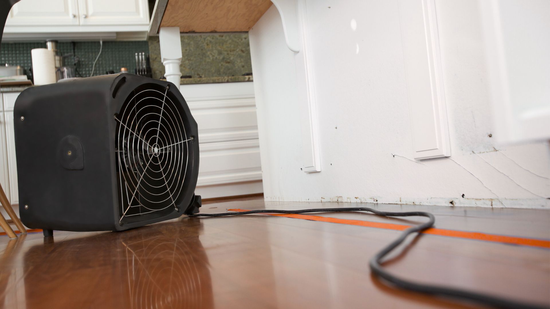 Anti-Schimmel-Team - Nordrhein-Westfalen - Schimmelentfernung - Schimmelsanierung - Schimmelanalyse - Bautrocknung