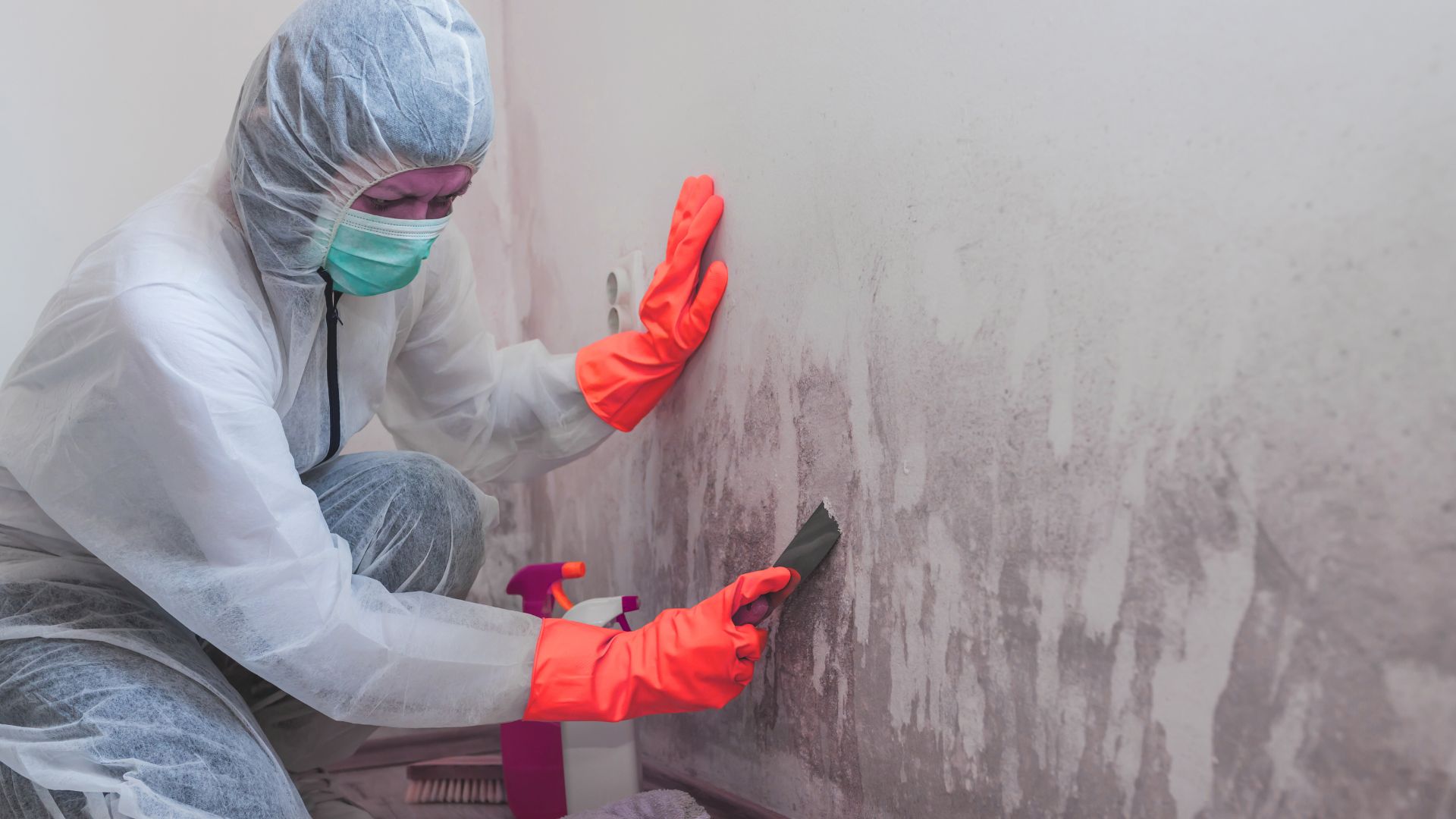 Anti-Schimmel-Team - Nordrhein-Westfalen - Schimmelentfernung - Schimmelsanierung - Schimmelanalyse - Bautrocknung